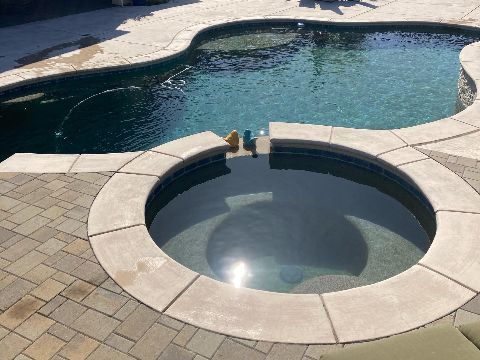Your Family Pool Service gallery 7